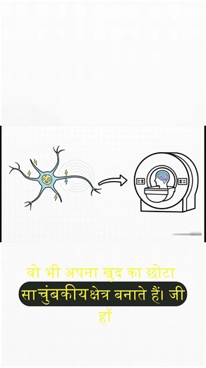 The 5-Minute Magnetic Effects Hack You Need to Know