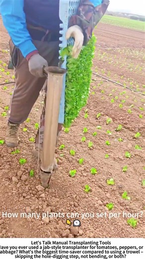 Handheld Transplanter – Speed Planting Vegetable Seedlings 🌱🧑‍🌾