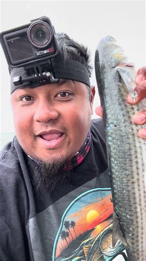 Catching the best free bait to use on TYBEE ISLAND FISHING PIER 2026