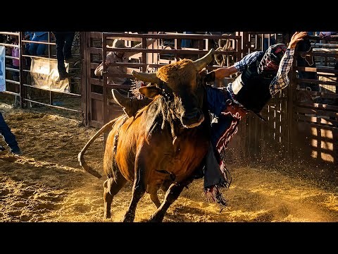 Epic Bull Riding in France 🇫🇷 | Jordan Fabre | Saint Martin De Crau | 2026