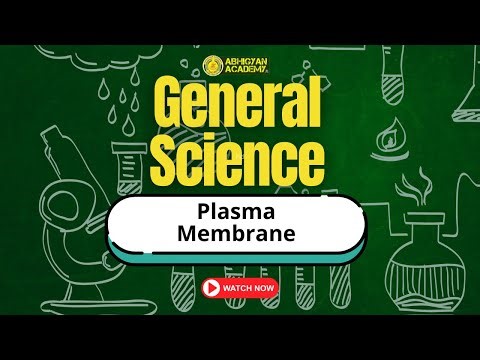 Plasma Membrane | General Science | Structure and Functions Explained
