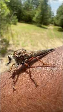 This Thing Landed On Me…😶