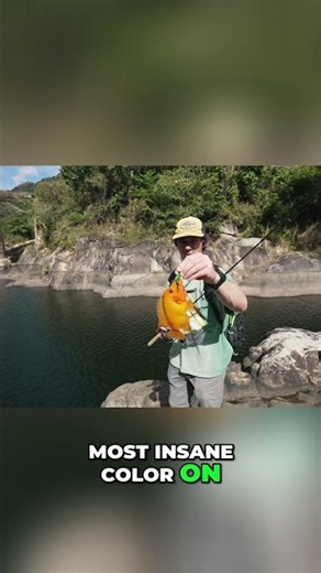 Catching RED DEVIL Fish In PUERTO RICO Waters!