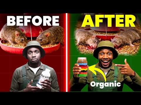 1 Rat in Your Farm Carries 7 DEADLY Chicken Diseases: 7 Natural Solutions To Eliminate All of Them