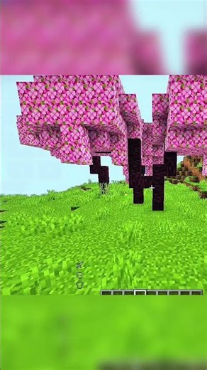 I made the best fps boost modpack for mojolauncher/pojav | how to boost fps in mojo launcher 1.21.1