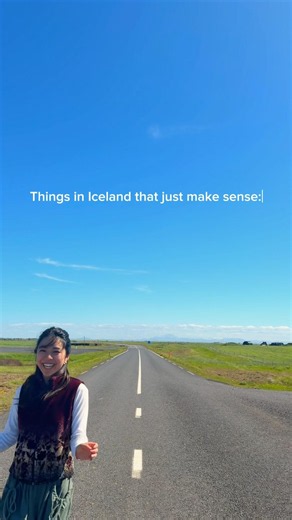 Things in Iceland that just make sense