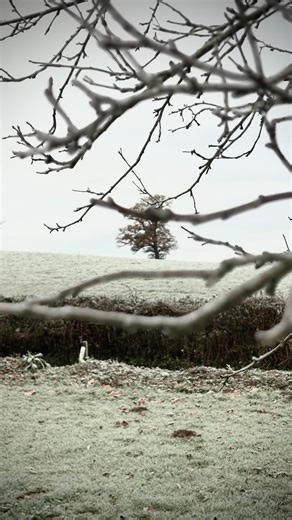 Muck & Melt by Lizzi Nicholls: Gift Ideas | Handmade Soap | UK on Instagram: "I’m often helping people to get rid of glycerin rivers in their soap. But in this handmade mountain soap, I actually wanted the glycerin rivers. They are the lines in the mountains that I hoped would look like the rocks and snowy ridges of the mountain tops. Glycerin is a valuable byproduct of saponification that moisturizes skin and one of the reasons that handmade soap is superior to mass produced soap. We value the 