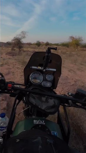 Spitfire and Trail Runs