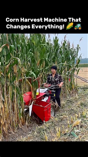 Corn Harvest Machine That Changes Everything! 🌽🚜