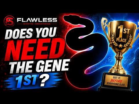 Does Being FIRST to a New Ball Python Gene Really Matter?
