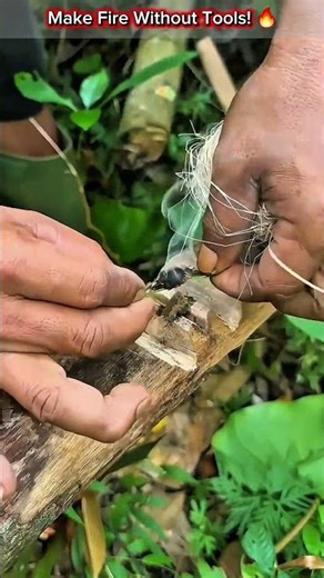 Ultimate Survival Skill: Start Fire Without Matches or Lighter 🔥