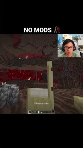 Minecraft Debug Stick Moment