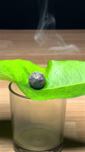 1000° Red Hot Ball vs Leaf! 🌿🔥 #shorts #experiment #science