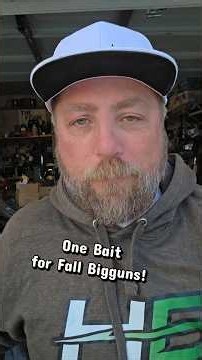 The ONLY bait you Need for October Bass!