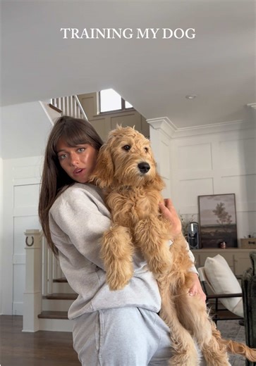 Training my dog to do tricks 🐕🐾 #dogs #dogtricks | dog