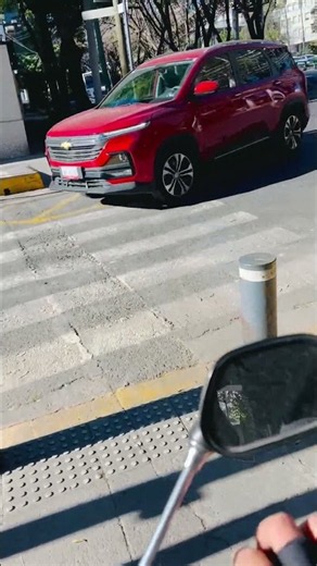 BIKEJORING CÓMO CRUZAR CALLES CON TU PERRO EN LA CDMX? 🇲🇽
