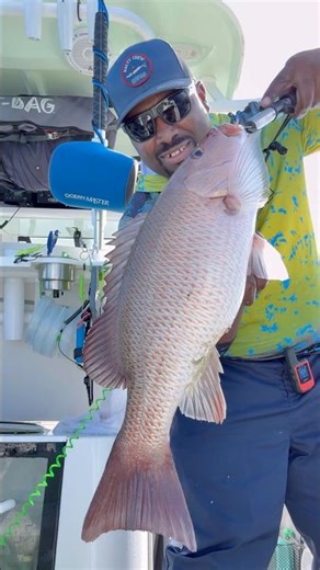 Giant Mangrove Snapper: The Ultimate Fishing Challenge