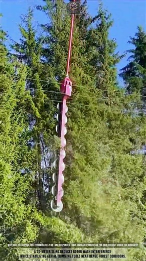 Helicopter Tree Trimming — Managing Swing Loads