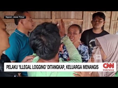 Pelaku Ilegal Logging Ditangkap, Keluarga Menangis