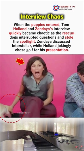 Tom Holland and Zendaya’s Puppy Interview Turns Into Chaos #zendaya
