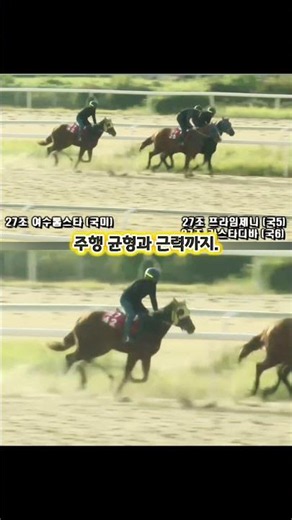 여수톱스타, 부산 주로 훈련 시작! 서두르지 않고 한 걸음씩 🏇✨ | YEОSU TOPSTAR: Step by Step to the Track!