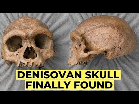 Ancient DNA Reveals Denisovans: The Lost Human Species That Shaped Modern Humans