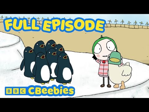 Sarah, Duck and the Penguins 🐧 | Series 1 Episode 2 | CBeebies 🦆 #FullEpisode