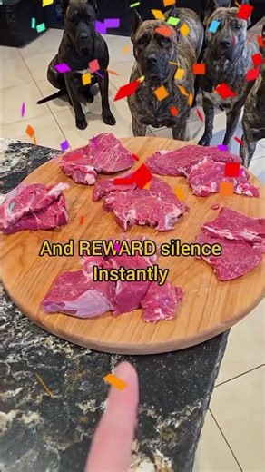 Stop Your Dog From Barking FAST (Proven Training Methods That Work!)