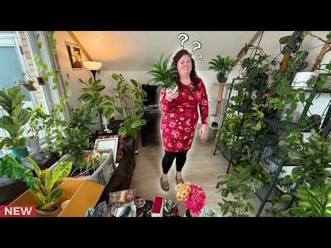 From Jungle to Joy 🌿 Rooting Out the Clutter | Living Room Declutter