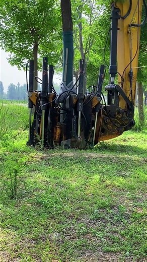 Unlocking Tree Transformation Mastery: Top Tips for Pros