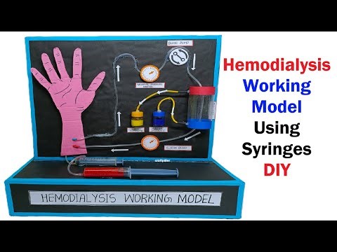 hemodialysis working model using syringes - no motor - science project exhibition diy | craftpiller