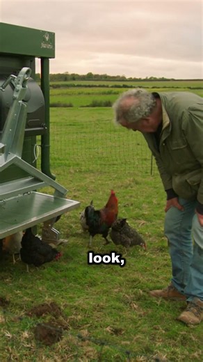 Clarkson’s Farm – It Turns Out the Cockerels Are Incredible Escape Artists 🔥🤣