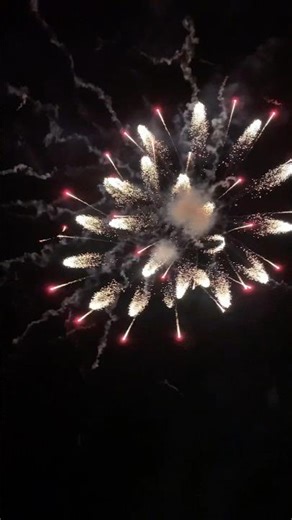 FIREWORK SHELLS 💥🎇 #pyro #fireworks #feuerwerk #shells #bigfireworks #firework #fireworkshells