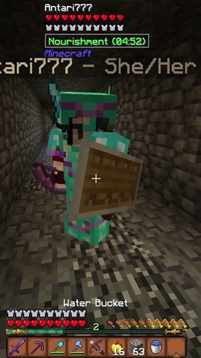 You Can't Predict The Wither #minecraft #wither #smp