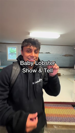 Baby Lobster Late Night Snack: How to Enjoy Baby Lobster Safely
