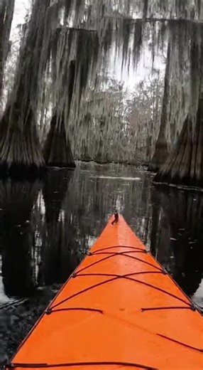 Silent Kayak Journey: A Deadly Swamp Adventure