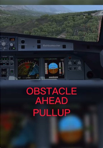 WINDSHEAR - Look how Dangerous it is. (What a recovery mind) #aviation #windshear #airbus #boeing