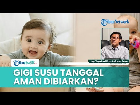 Gigi Susu Tanggal Terlalu Dini, Bolehkah Dibiarkan Sampai Gigi Permanen Tumbuh?Ini Penjelasan Dokter