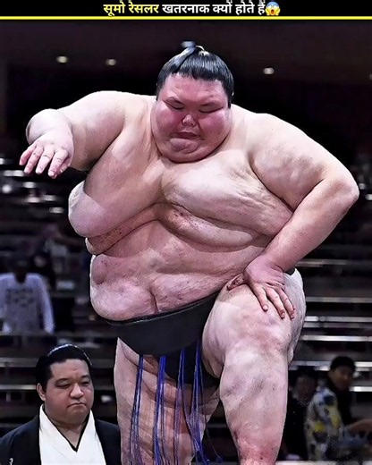 Why Are Sumo Wrestlers So Dangerous😱#shorts #facts #shortvideo