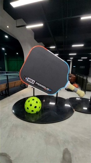 Stay active, embrace teamwork, enjoy sports, and celebrate every victory together! #Pickleball