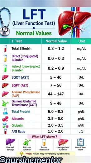 LFT (Liver Function Test) Normal Values | Quick Reference