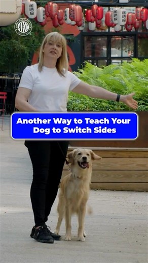 Another Way to Teach Your Dog to Switch Sides