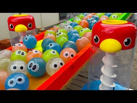 Marble Run ASMR⭐︎ Wooden Original Course x Red Bird