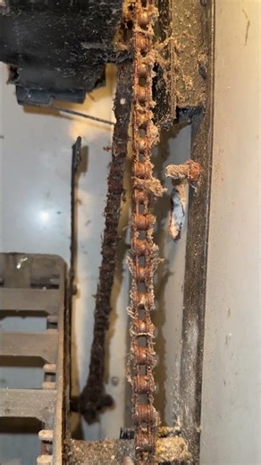 500 Eggs Full automatic Egg incubator