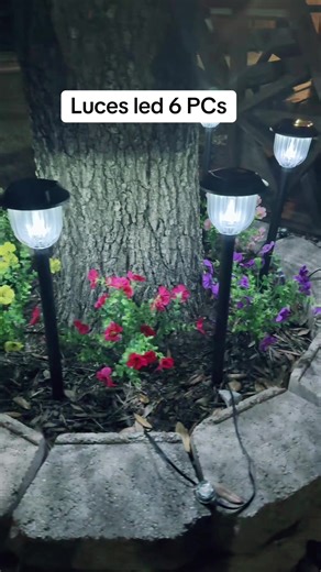 Luces LED con panel solar, incluido#outdoors #ledlight #garden #frypp