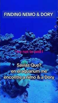 Savías Que? me encontre a Nemo &a Dory, aquarium, AlbuquerqueNM #findingnemo #disney #nemo #Dory