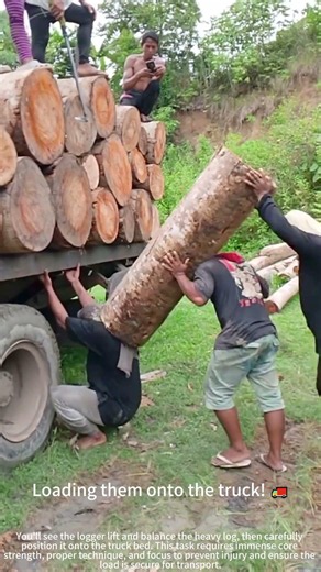 Carrying giant logs on the back! 💪