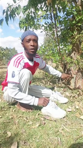 Sheeka Robe (@shekaroobee)’s videos with original sound - Sheeka Robe