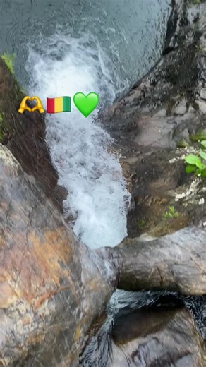 Fouta Djalon nature video from Guinea — viral scenic clips