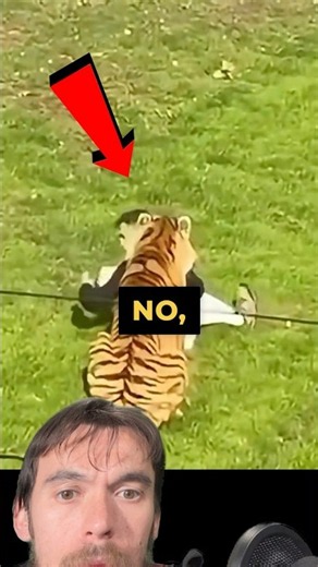 A British Man Jumps Into Tiger Enclosure And Gets MAULED But You Won’t Believe What Happens Bext